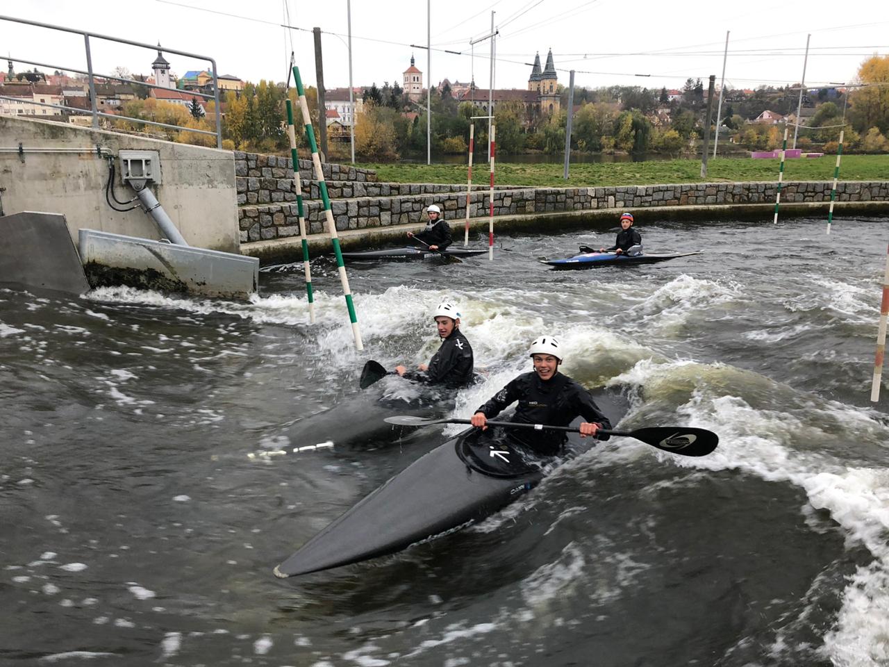 Павлины, говоришь?