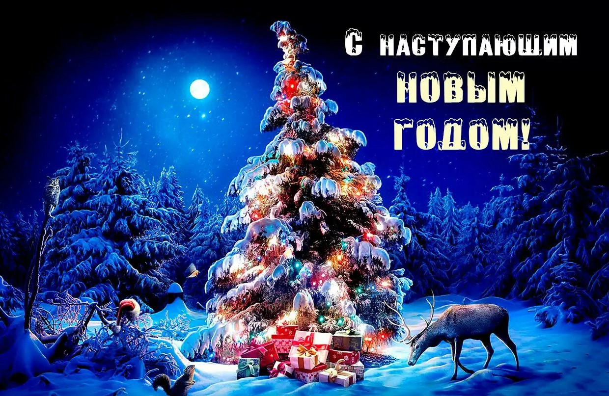 С наступающим Новым годом!