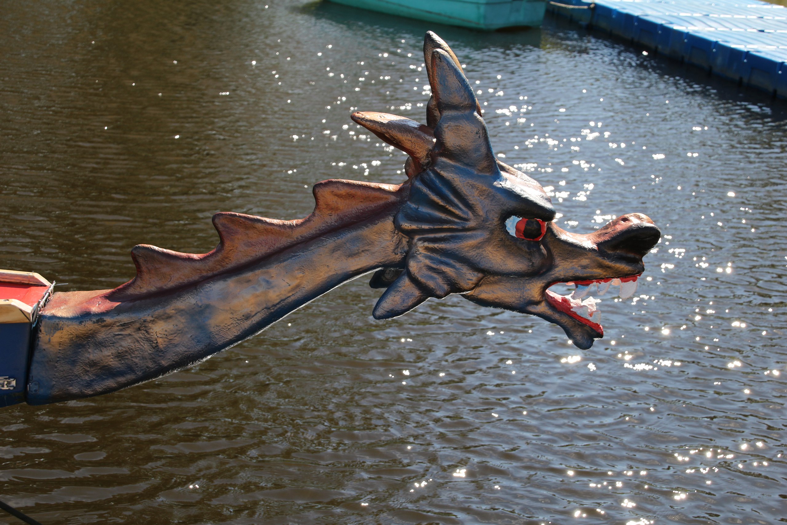 «Драконы» станут хозяевами гребного канала