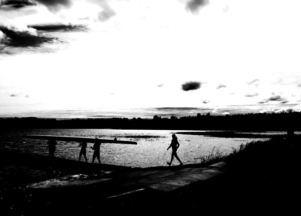 Цели и задачи профессионалов